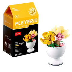 Sluban - PLEYERID-Potted Plants Tulip