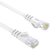 network cable for network connectivity