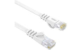 network cable for network connectivity