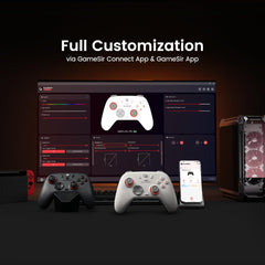 GameSir Nova Lite 2 Wireless PC Controller with Hall Effect Joysticks & Triggers, 2.4G & Wired 1000Hz Polling Rate, Remappable Buttons - Compatible with PC/Switch/Steam/Android (Grey)