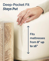 Filterbuy 20x20x1 Air Filter MERV 8 Essential Dust & Allergy Defense (4-Pack), Electrostatic Pleated HVAC AC Furnace Filters Replacement (Actual Size: 19.50 x 19.50 x 0.75)