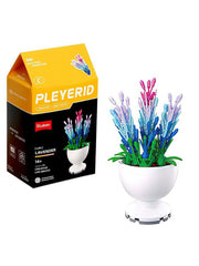 Sluban - PLEYERID-Potted Plants Lavender