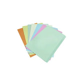 Carton A4 Bristol Color Pack Of 100 Sheets