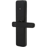 WIFI Intelligent Fingerprint Door Lock with TUYA app