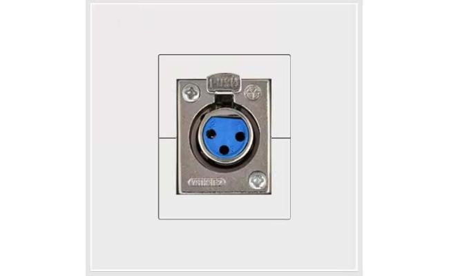 1 Port Female Xlr Connector Wall Plate Socket Keystone Faceplate - CompuMe