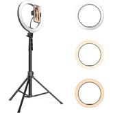 Jmary Fm 536a 26cm Led Ring Light Kit With 170cm Tripod, 3 Light Modes, Usb Powered, 1/4" Mount, Phone Holder, Remote For Makeup, Streaming, Photography