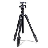 Jmary Kt285+nb40 2 In 1tripod Live Streaming Photography Monopod 1.75m Tripod Detachable Camera And Phone Stand Black