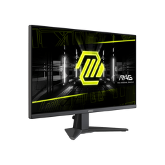 MSI monitor for display setup