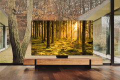 Samsung Led Tv 85Inch, Smart Neo Qled 8K, 4HDMI & 3USB, Satellite, Built-In WiFi - QA85QN800DUXTW