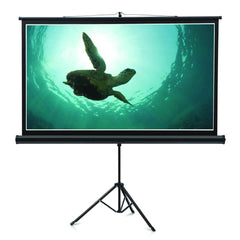 NO - Brand Tripod Projector Screen (210cmx150cm), monitor