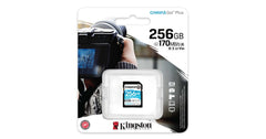Kingston Canvas Go! Plus SD Memory Card 256GB