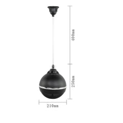 Hanging Ball DQ-102 Ceiling speaker -Black