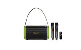 Wejeier W 4120 Outdoor Portable Karaoke Singing Bluetooth Speaker with Two Mi