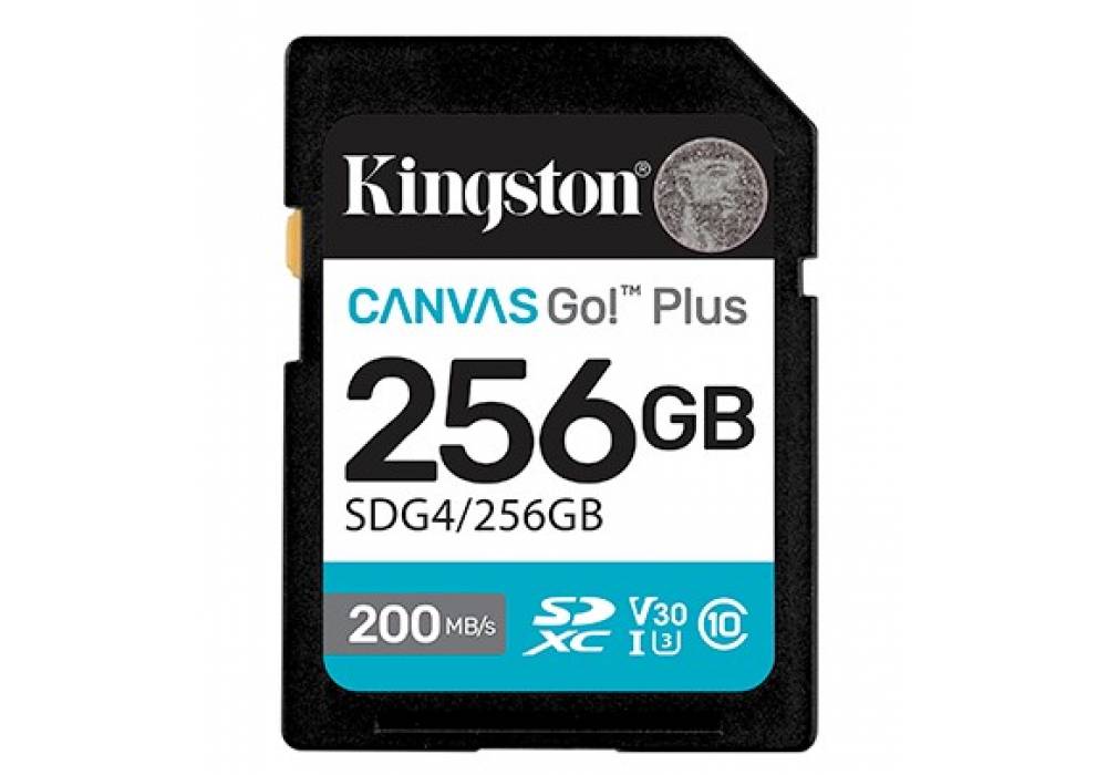 Kingston Canvas Go! Plus SD Memory Card (256GB) For DSLRs, Mirrorless Cameras & 4K Video Up to 200MB/s Read, 160MB/s Write