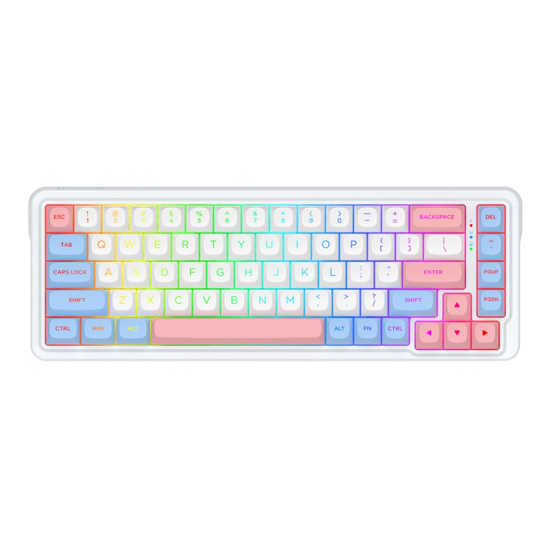 Redragon K709 PRO 65% Wireless Gasket RGB Gaming Keyboard, 68 Keys Hot-Swap Compact Mechanical Keyboard w/Free-Mod Socket, 5-Layer Noise Dampening & Round PBT Keycaps, Quiet Custom Linear Switch - CompuMe