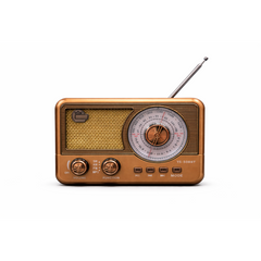 YS-508BT FM\AM\SW\USB\TF\3-Band Receiver Bluetooth Speaker