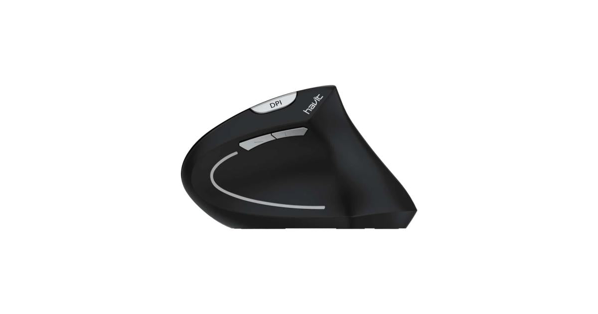 HAVIT MS550GT Vertical Wireless Ergonomic Mouse, gaming accessories