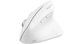 HAVIT MS45WB Wireless Mouse (White)