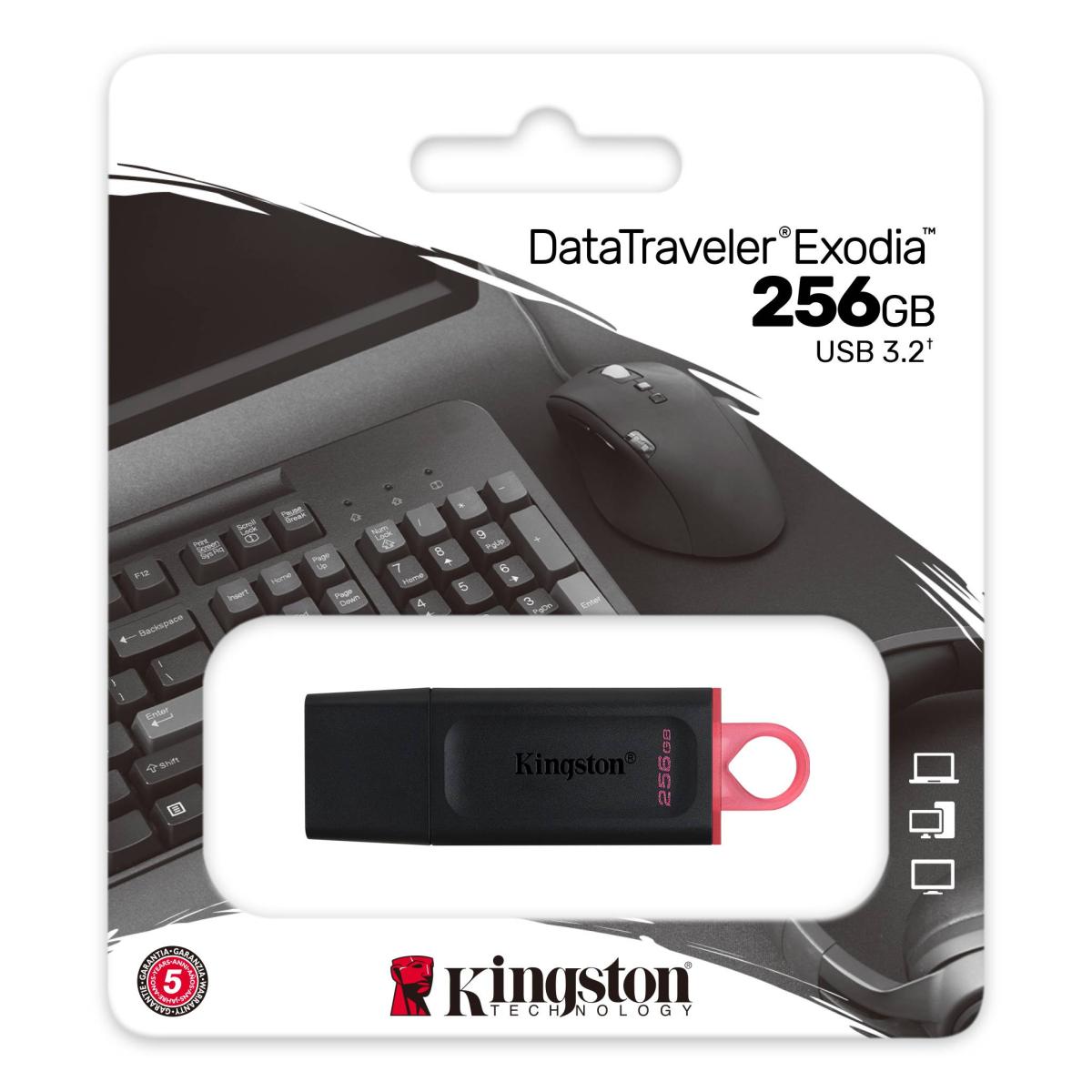 Kingston DataTraveler Exodia USB Flash Drive Single Pack USB 3.2 Gen 1 - 256GB | DTX/256GB | - CompuMe