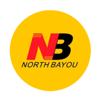NB North Bayou F160 17"- 27" Adjustable Dual Monitor Mount Gas Spring Desk Arm 2-9kg