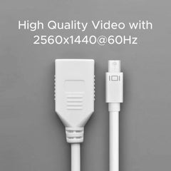 Ugreen 10445 Mini Displayport Male To Displayport Female Adapter
