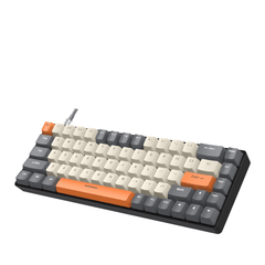 Ziyou Lang Rk-t8 Wired 65% Mechanical Gaming Keyboard