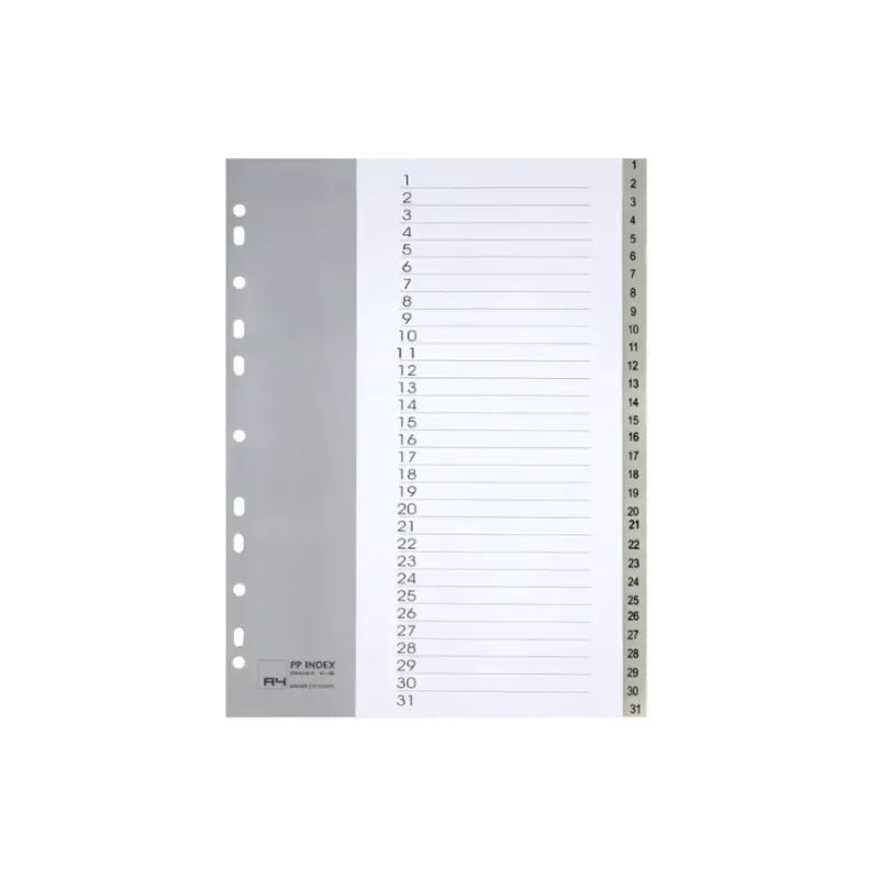 1-31 Plastic Dividers