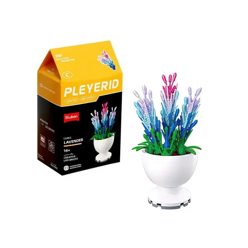 Sluban - PLEYERID-Potted Plants Daisy
