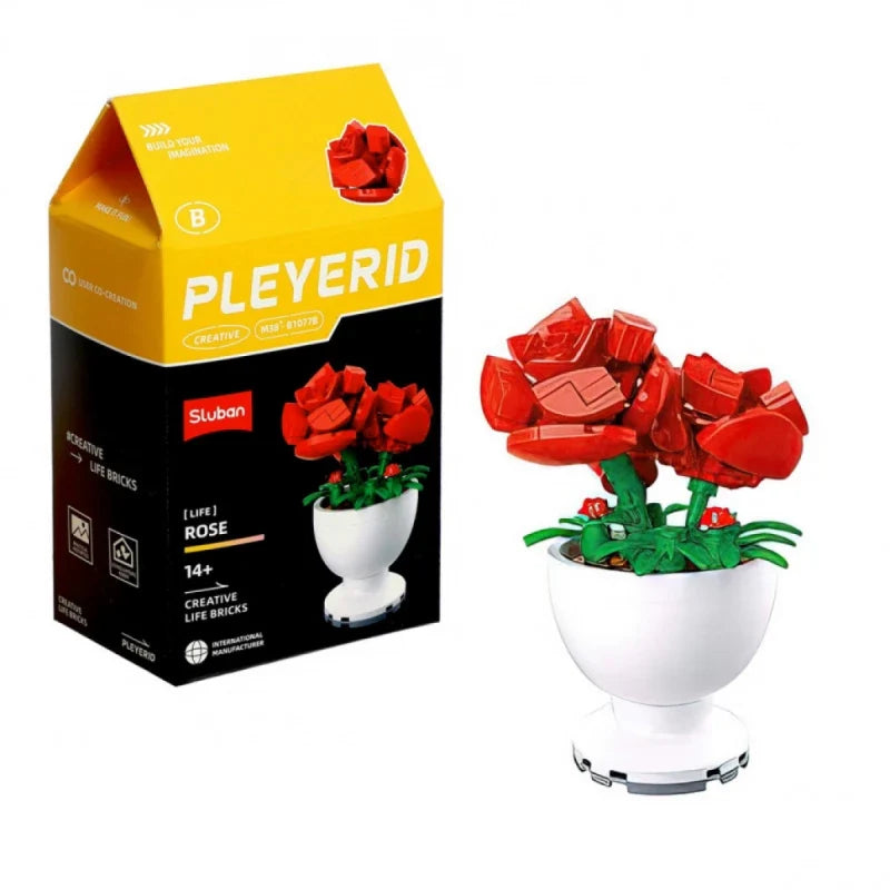 Sluban - PLEYERID-Potted Plants Tree Peony