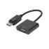 DisplayPort to VGA (Male to Female) Adapter