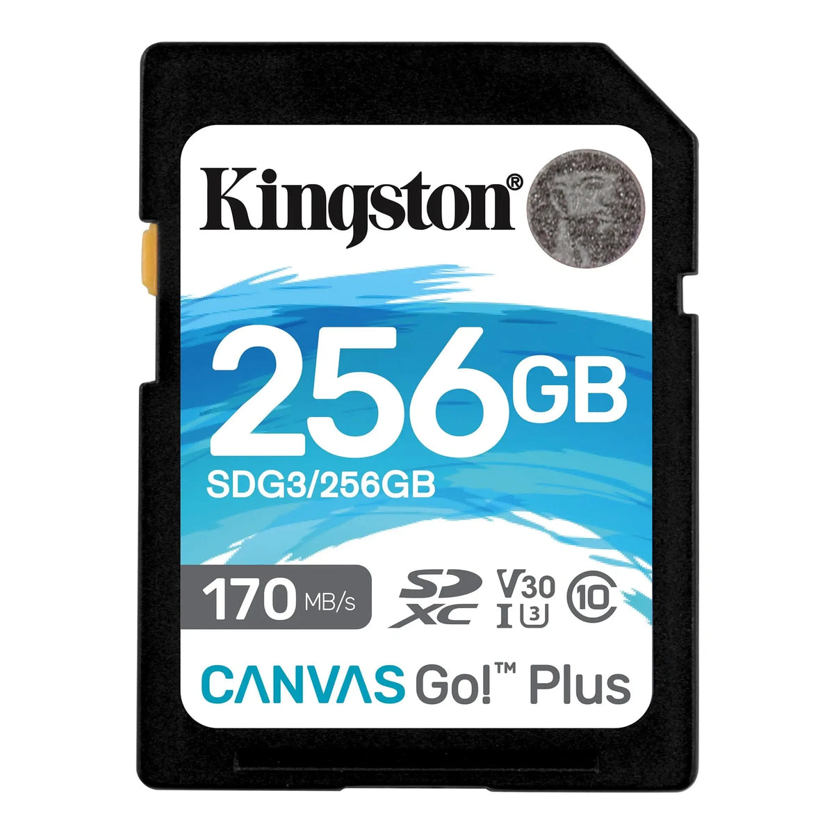 KINGSTON CANVAS GO PLUS 256GB SD MEMORY CARD - 170MB/S SDG3