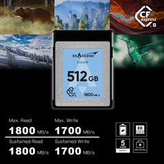 1 TB / 512 GB / 256 GB Vigor CFexpress Type B Card, Read up to 1,800 MB/s, Compatible with Canon R5, Nikon Z8, Z9 and Other Cameras (1, TB)