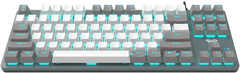 Aula Wind F3287 Wired TKL Rainbow Mechanical Gaming Keyboard