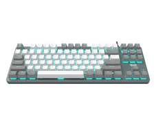 Aula Wind F3287 Wired TKL Rainbow Mechanical Gaming Keyboard