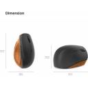 Lenovo Go Wireless Vertical Computer Mouse - Eco Friendly, Ergonomic 45-Degree Grip, Right-Handed, Programmable Buttons – 2.4 GHz USB Receiver, 12 Month Battery Life (Storm Grey)