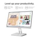 Lenovo monitor for display setup