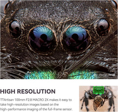 100mm f/2.8 Macro Lens for Canon RF Mount 2X Magnification Full Frame Manual Focus Mirrorless Camera Lenses EOS R RP R5 R5C R6 R6II R7 R10 R50 R100