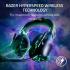 Razer Life - - RZ04 - 04530100 - R3M1 wireless headset for computer setup