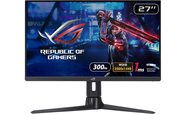 ASUS monitor for display setup