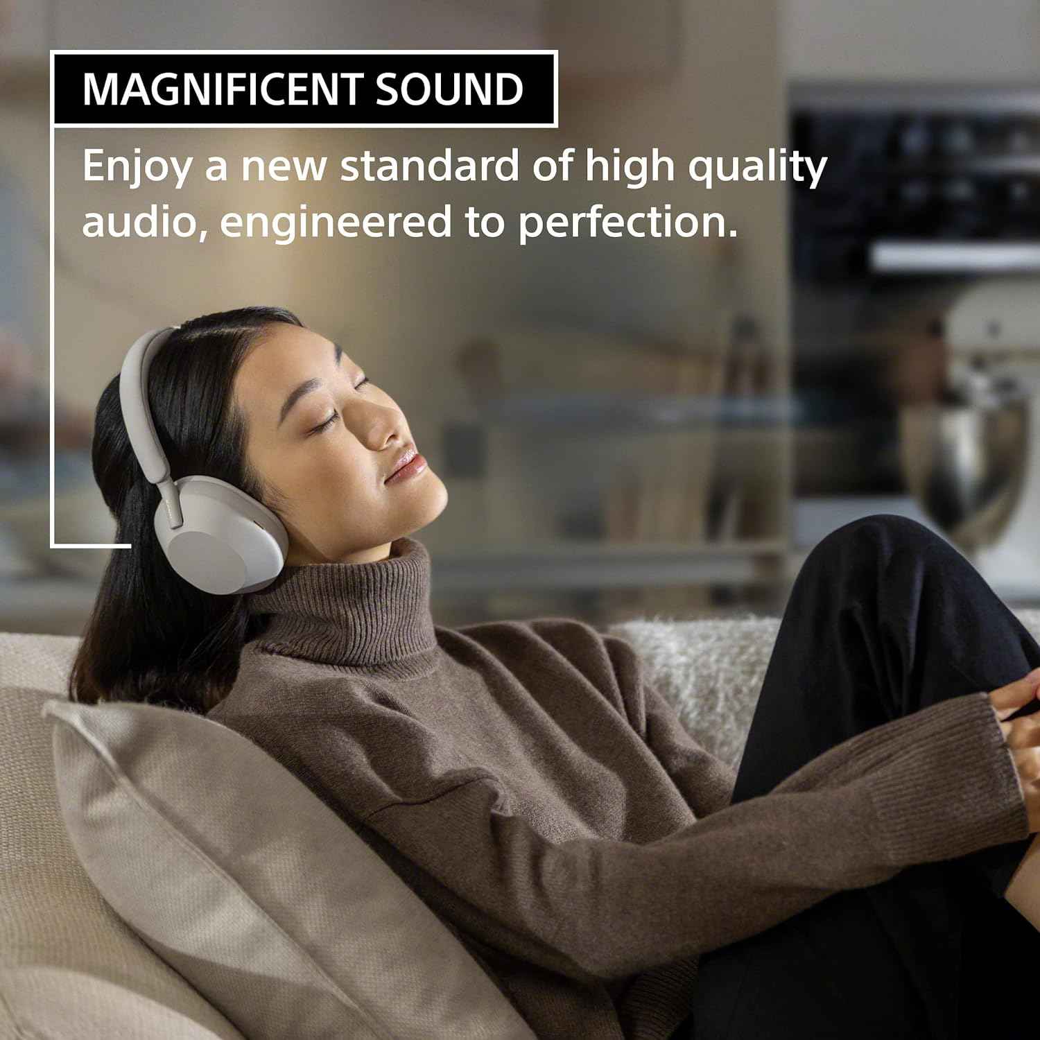 WH WH - 1000XM5 headset for computer setup