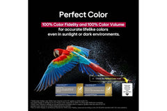 LG OLED TV 65Inch, Smart & 4K, 4HDM & 3USB, Magic Remote - OLED65C56LA.AMNG