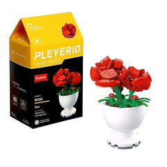 Sluban - PLEYERID-Potted Plants Rose