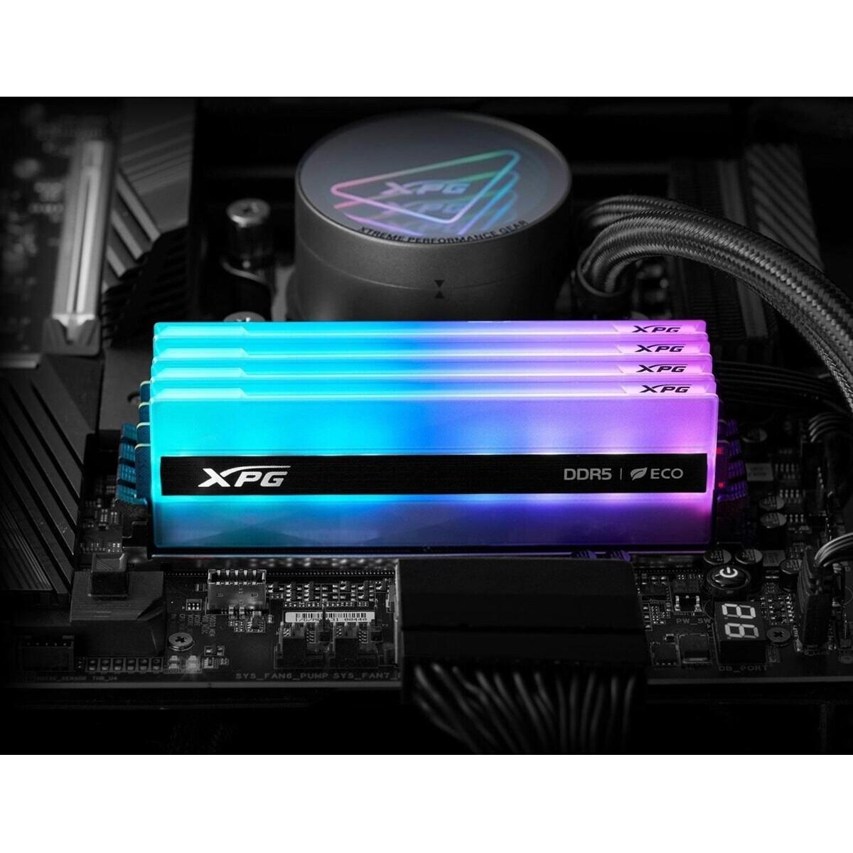 Adata RGB memory module for desktop computer upgrades