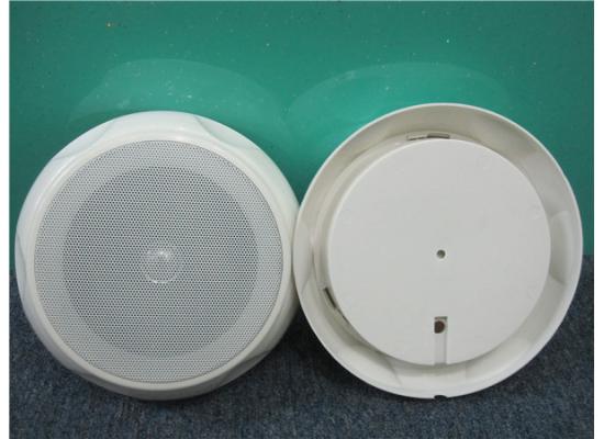 Aisp speaker for audio playback