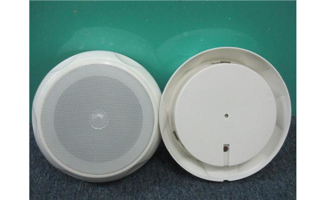 Celling speaker for audio playback
