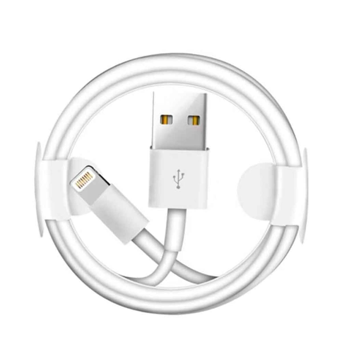 iPhone Lightning to USB Cable -1M