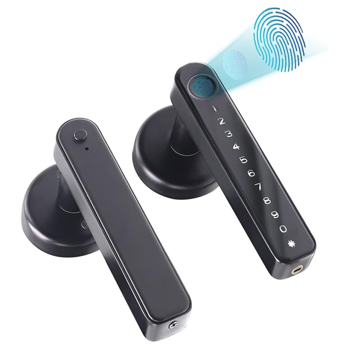 DL601-BL Intelligent Electronic Tuya Fingerprint Door Lock