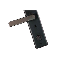 Lenovo E2 Smart Conventional Handle Lock