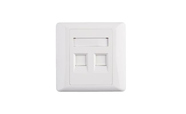 2 Port Rj45 Cat5e Face Plate Wall Socket
