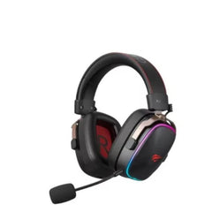 HAVIT H2039BG Wireless GAMING HEADPHONE